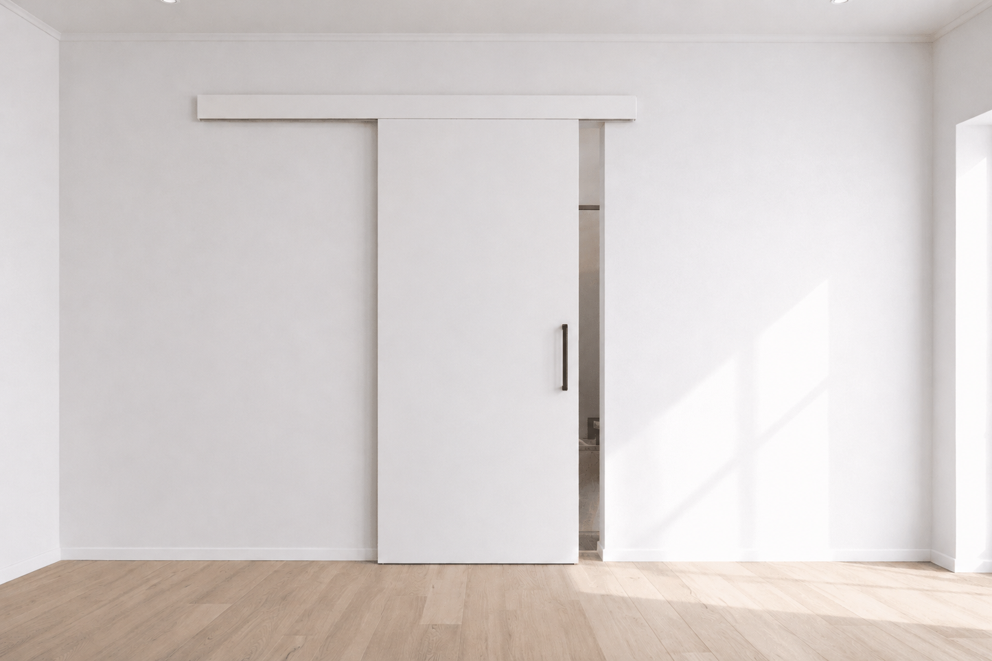 Interior surface sliding door with Brio top hung track system