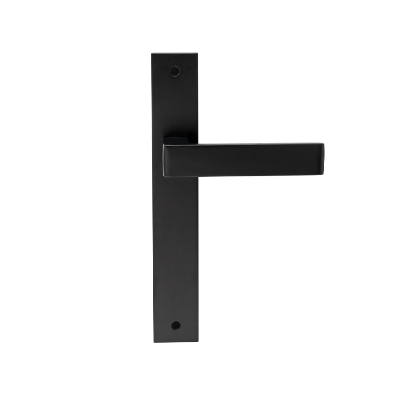 Windsor Galaxy Pegasus Elite Door Handle / Long Plate Handle Set – Entrance / Privacy / Passage / Dummy