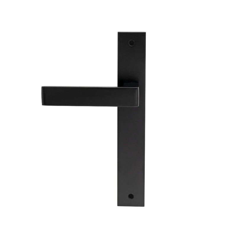 Windsor Galaxy Pegasus Elite Door Handle / Long Plate Handle Set – Entrance / Privacy / Passage / Dummy